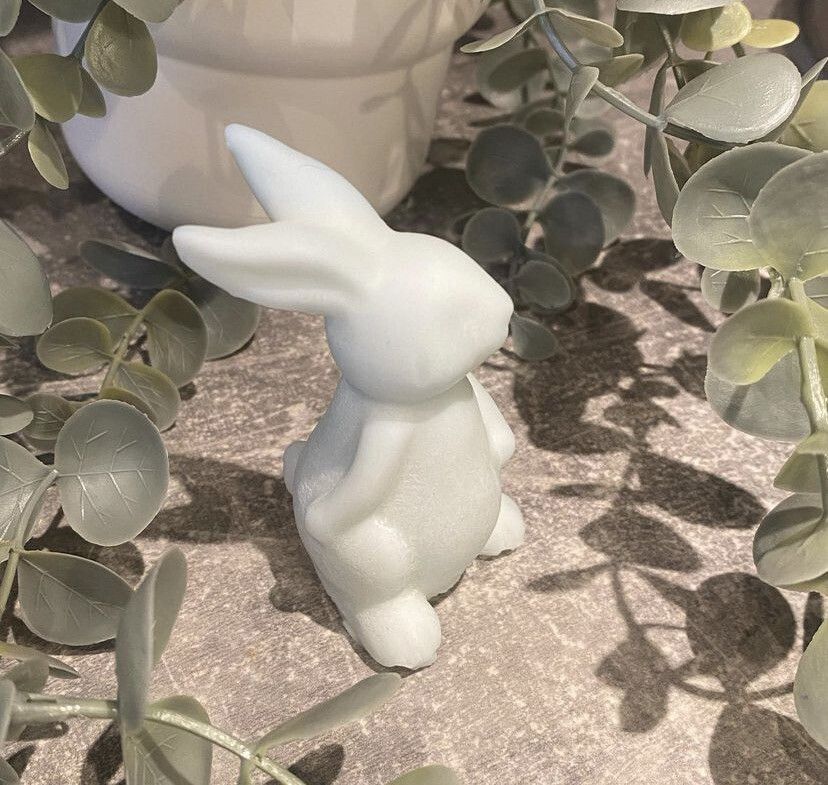 3d Bunny Mould