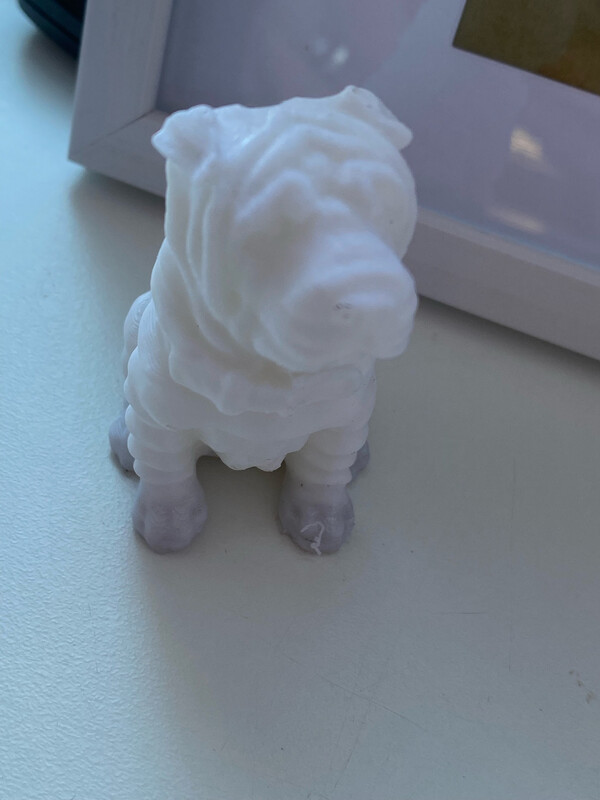 3d Shar Pei Dog