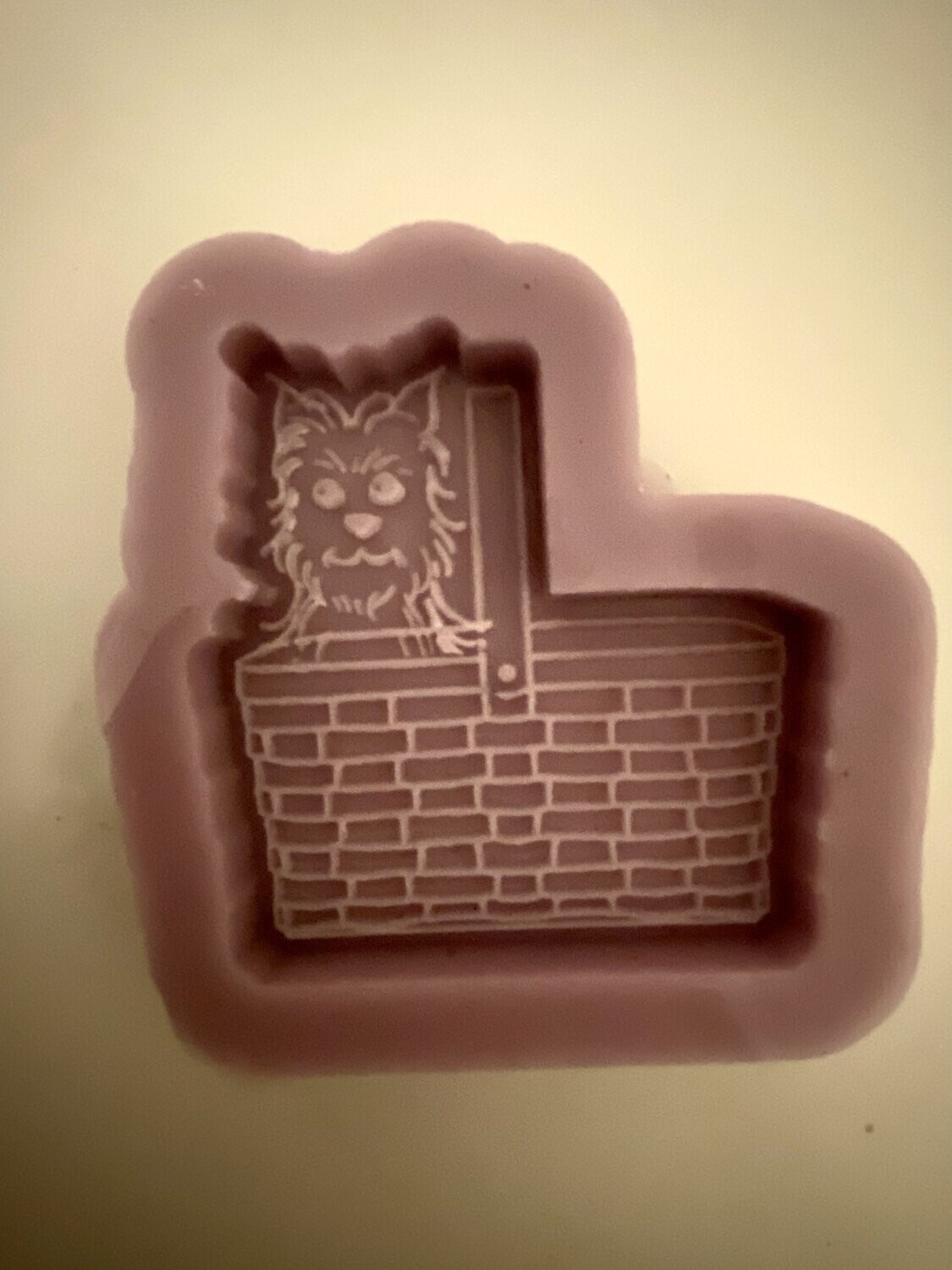 Toto Mould