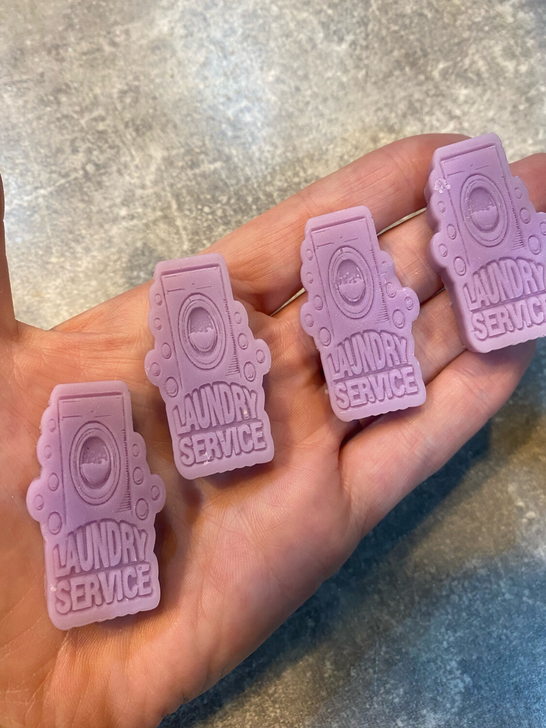 Laundry Service Mini