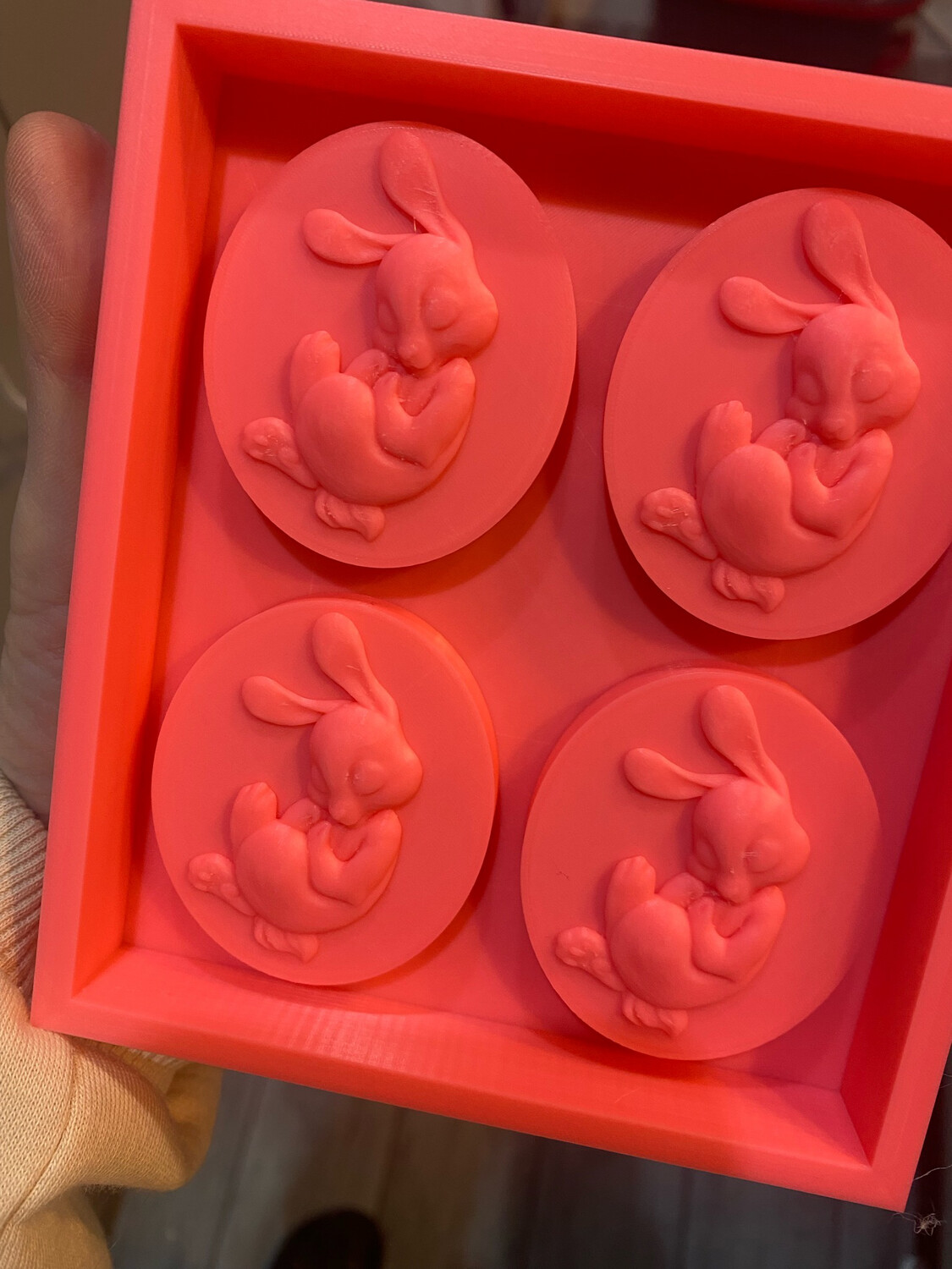 Sleeping Bunny Disc