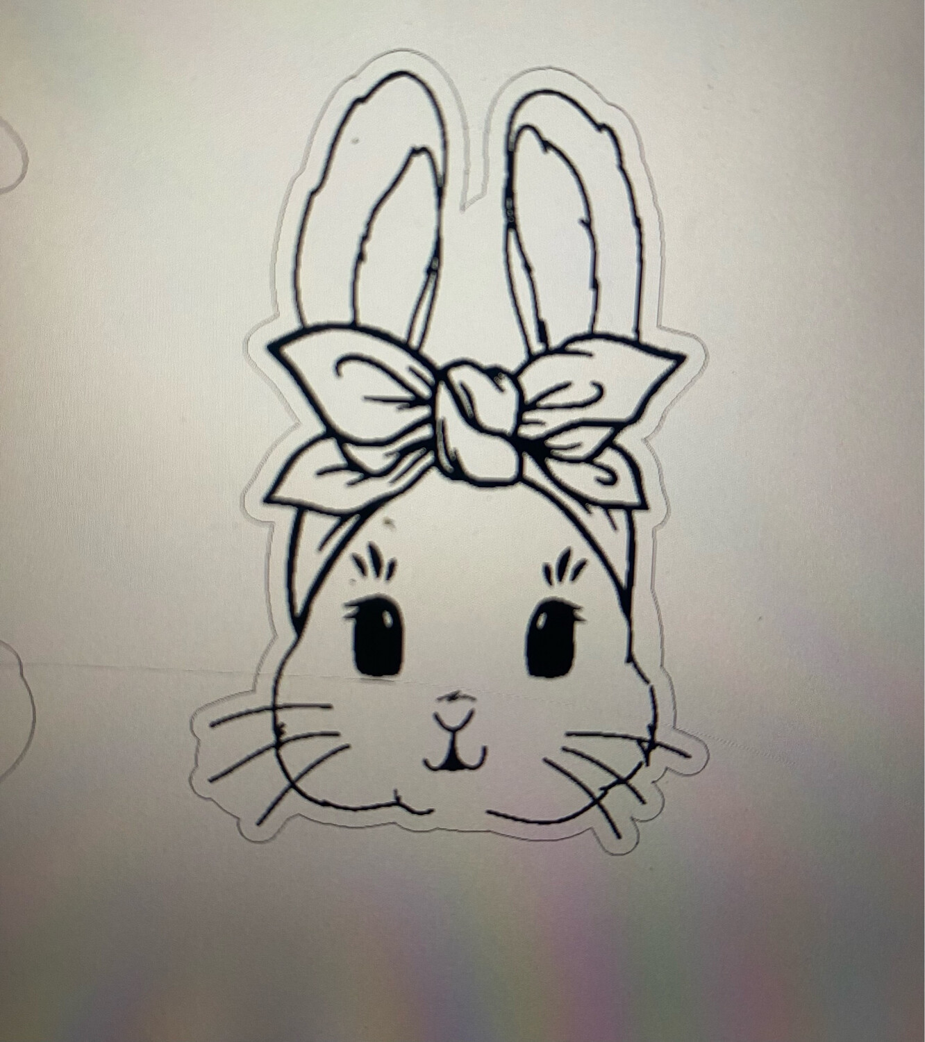 Cute Bunny Florence