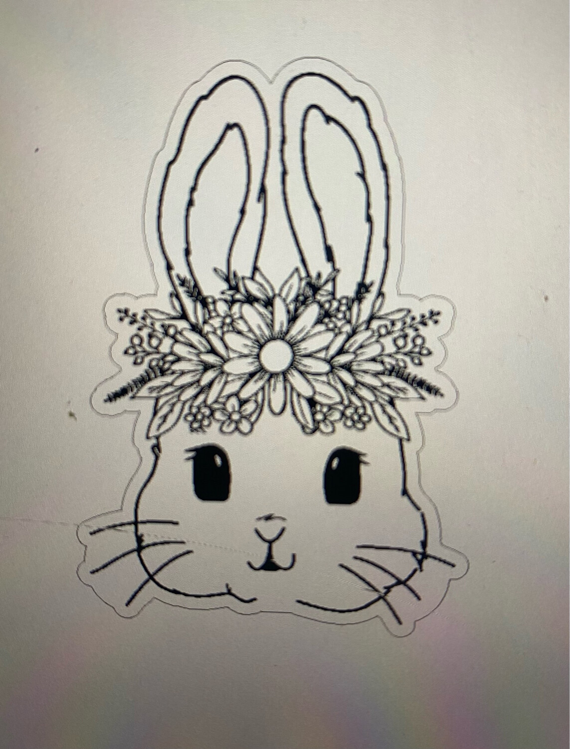 Cute Bunny Nanci