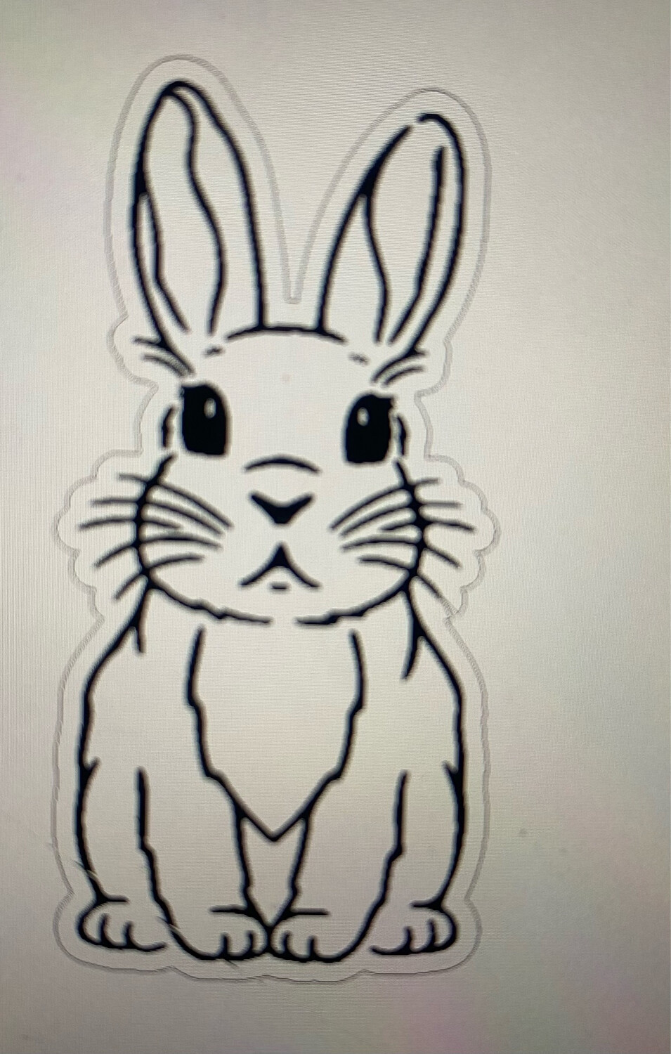 Cute Bunny Bobby