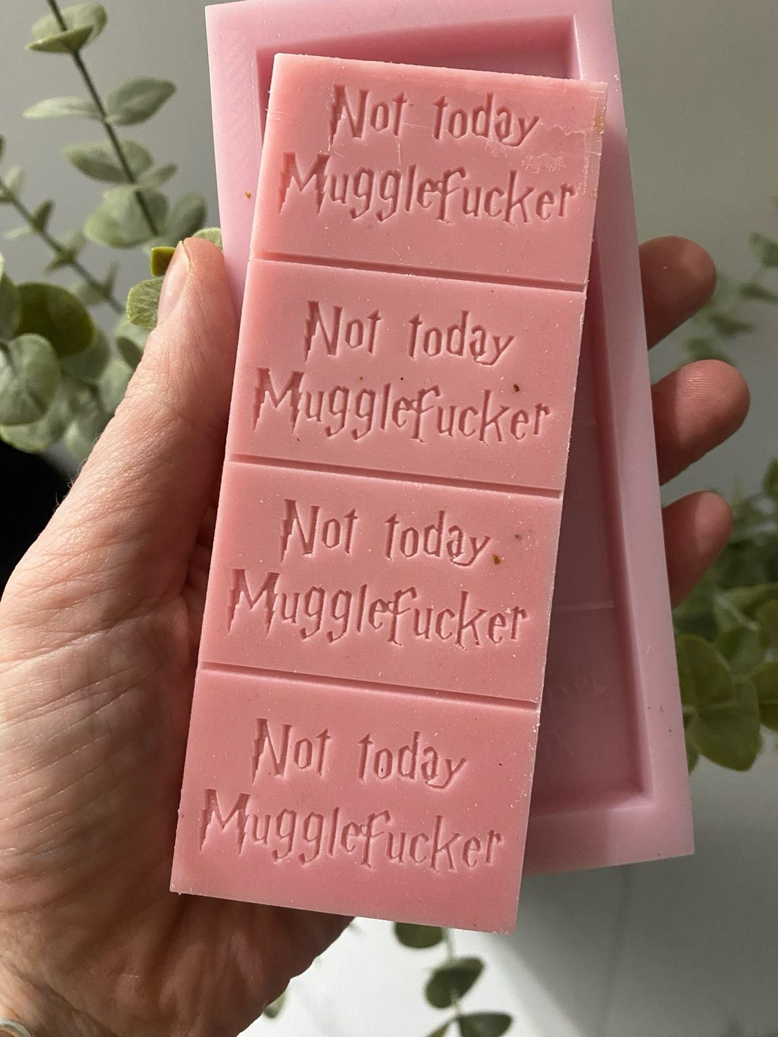 Not Today MuggleF###er Snap