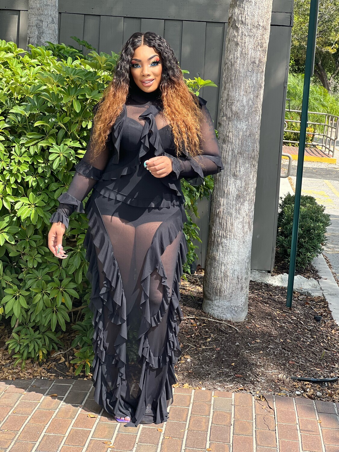 MONACO SOMETHING SPECIAL SHEER DRESS -Black