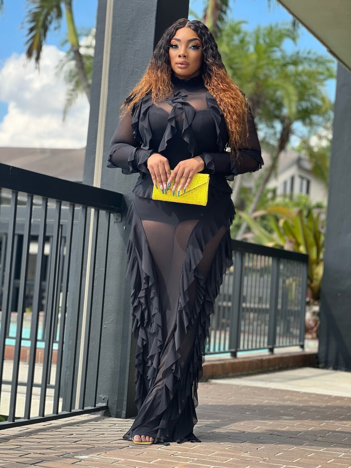 MONACO SOMETHING SPECIAL SHEER DRESS -Black