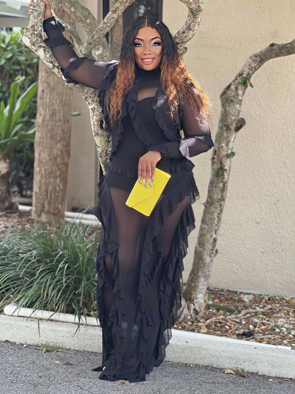 MONACO SOMETHING SPECIAL SHEER DRESS -Black