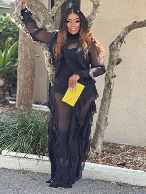 MONACO SOMETHING SPECIAL SHEER DRESS -Black