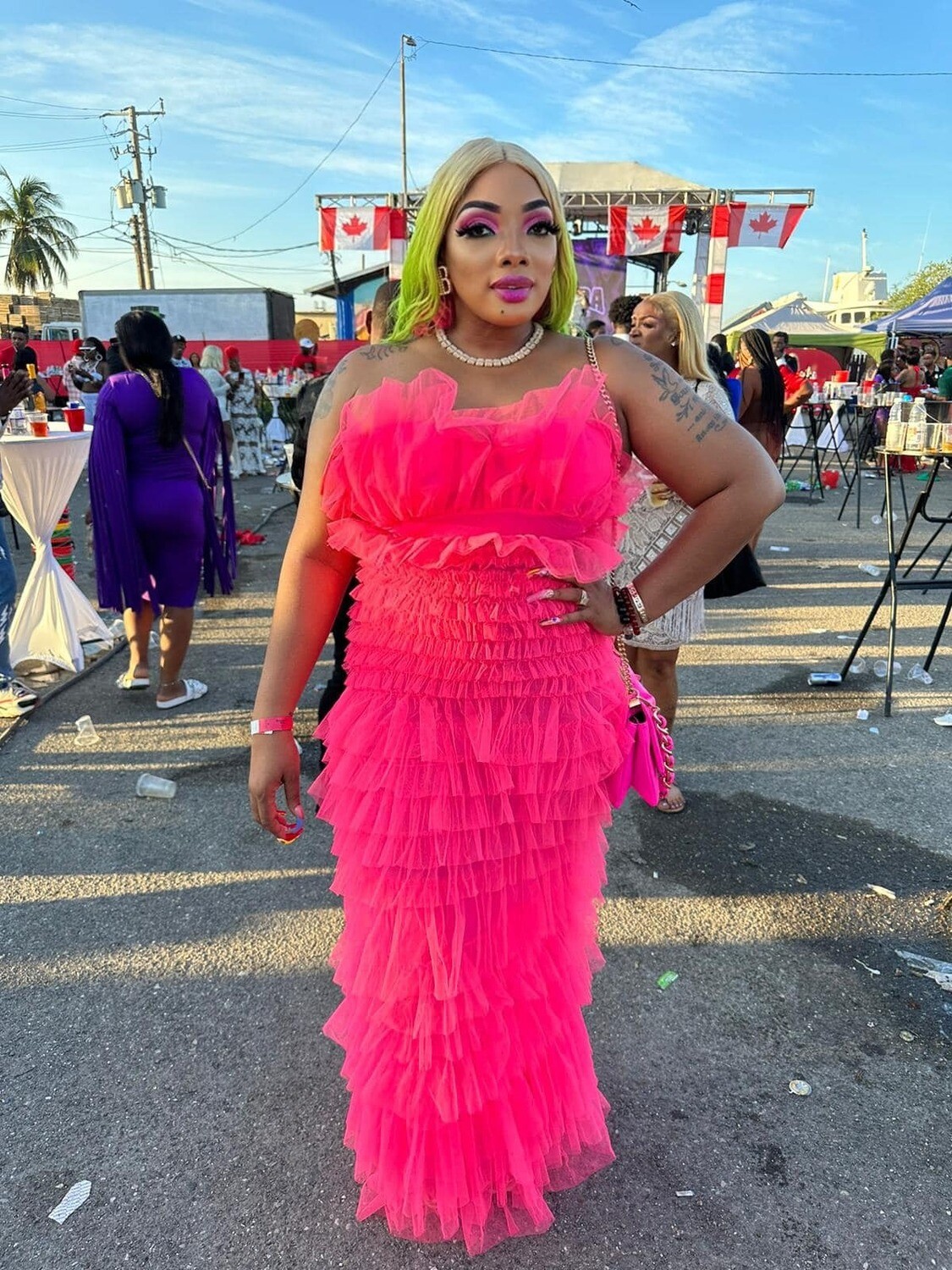 lavish me in pink  tulle dress