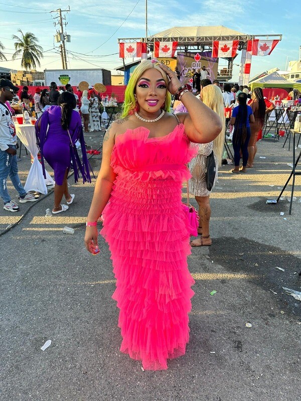 lavish me in pink  tulle dress
