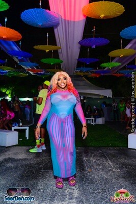 Body Morphing Stripe Printed Semi Sheer Dress