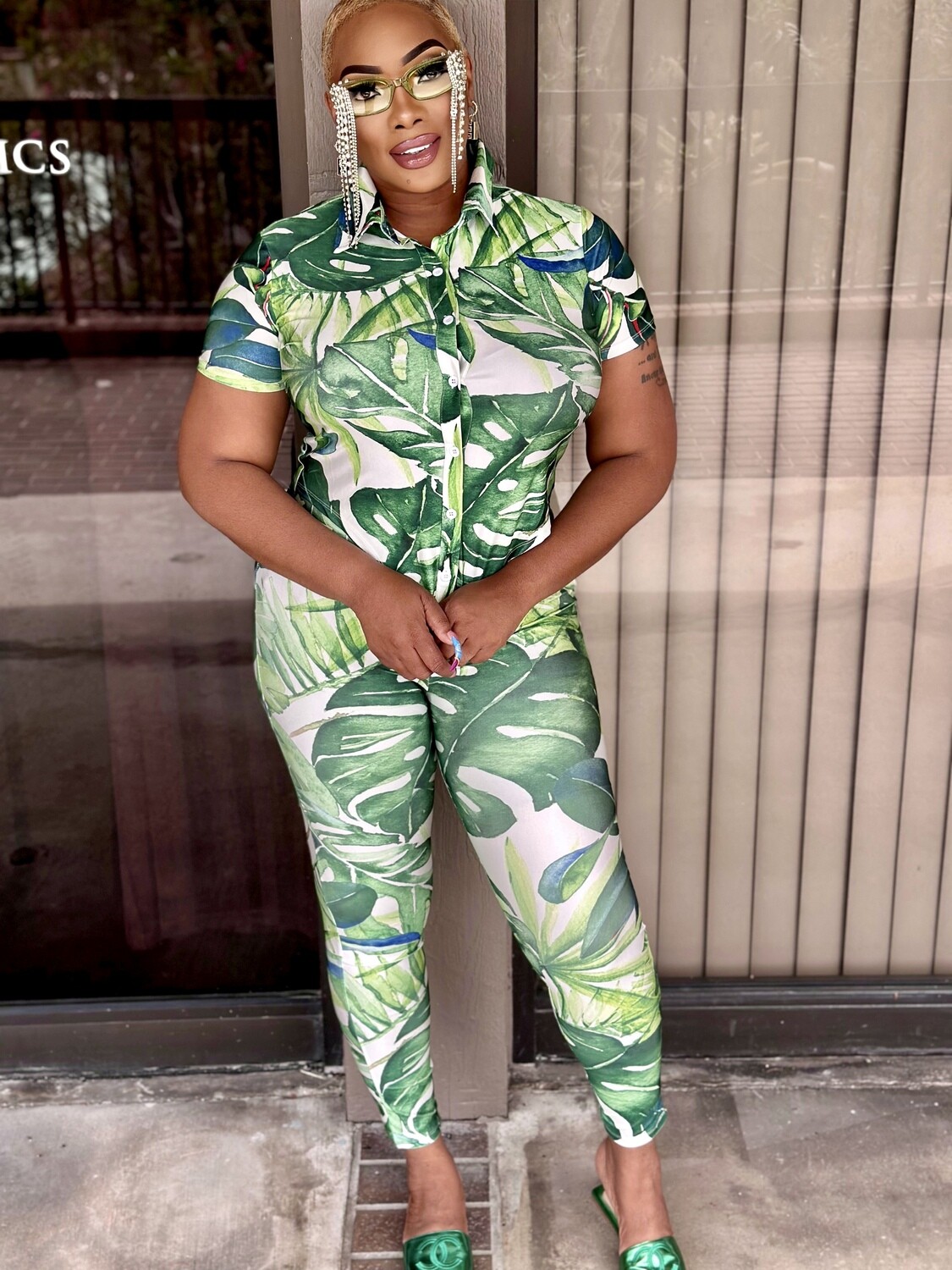 Jungle ambition set