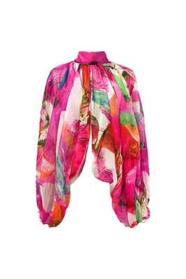 genius sheer balloon sleeve blouse