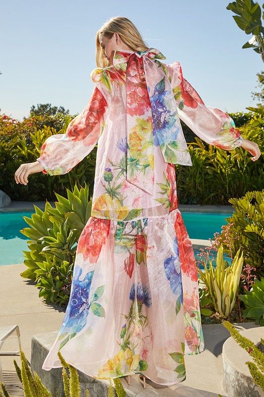 feminity sheer maxi dress