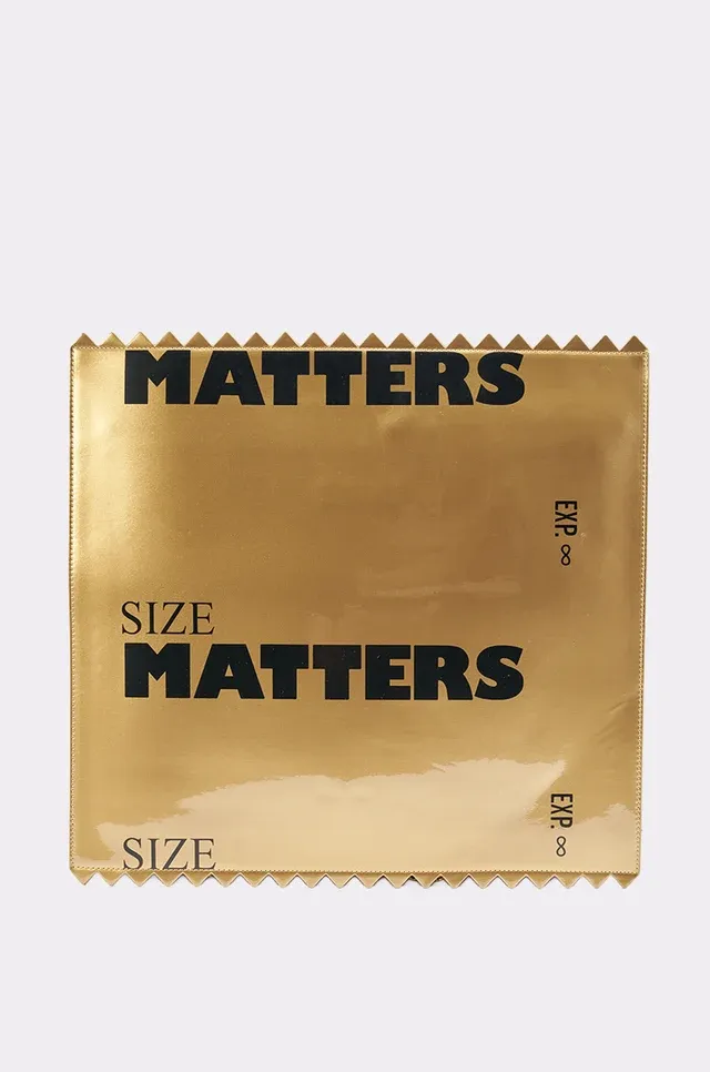 TANICE  SIZE MATTERS CHROME PURSE