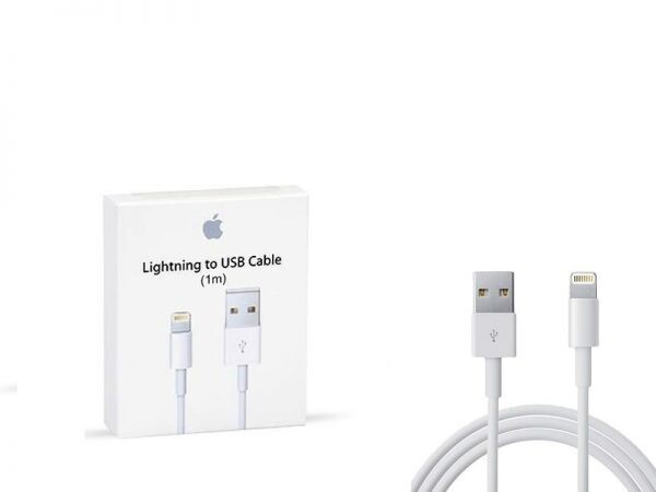 Apple Lightning to USB Cable (1 m)