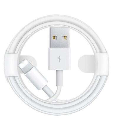 Apple Lightning to USB Cable (1 m)