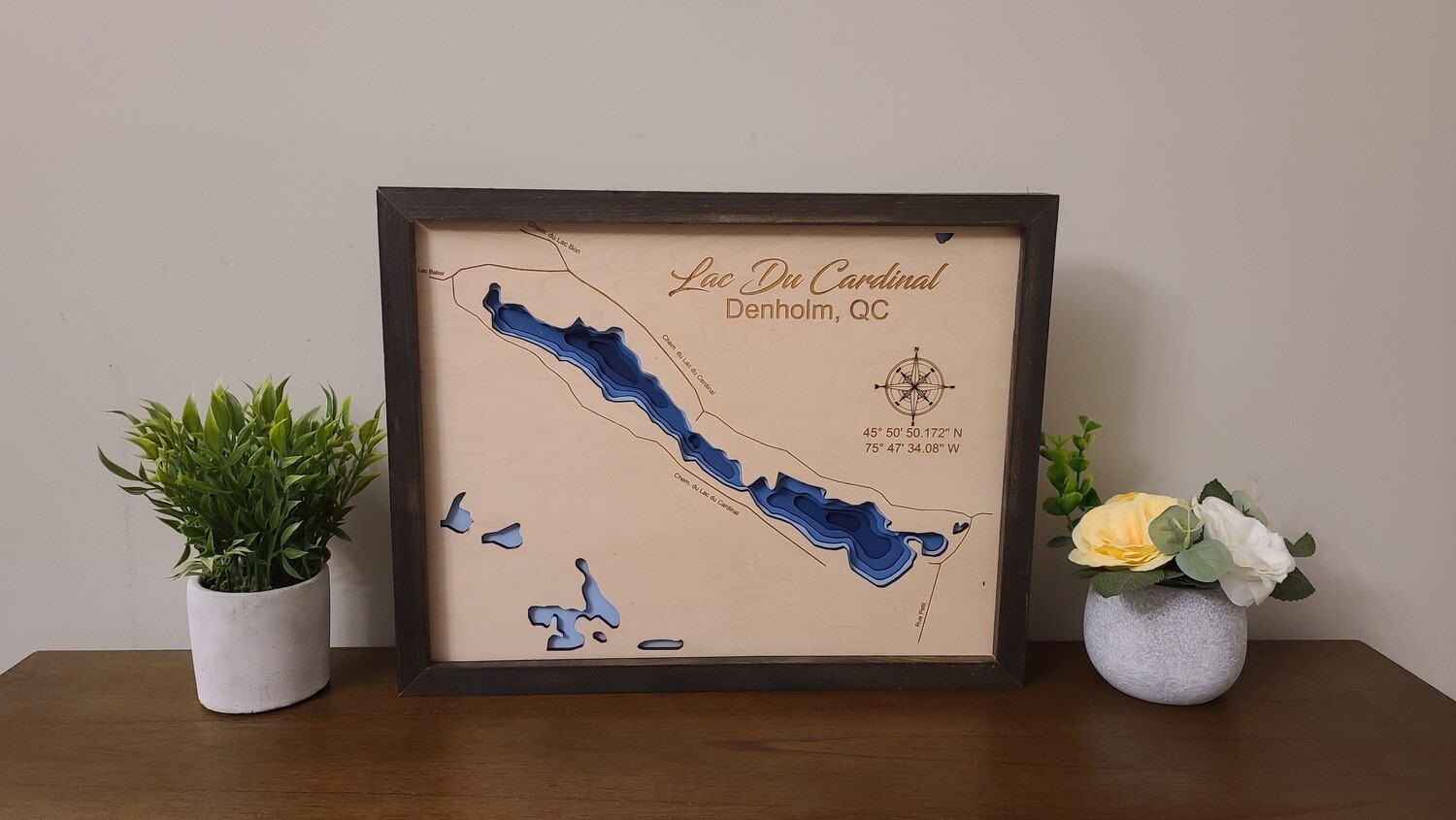 Lac Du Cardinal 3D-Lake Maps