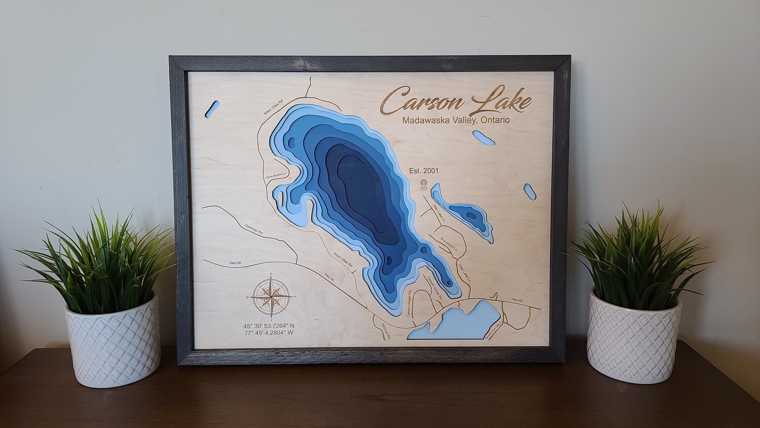 Carson Lake 3D-Lake Maps