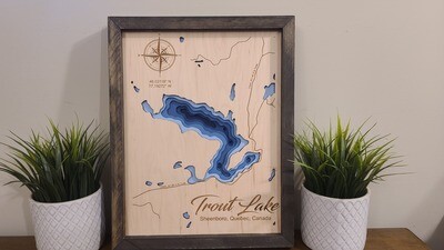 Trout Lake 3D-Lake Maps