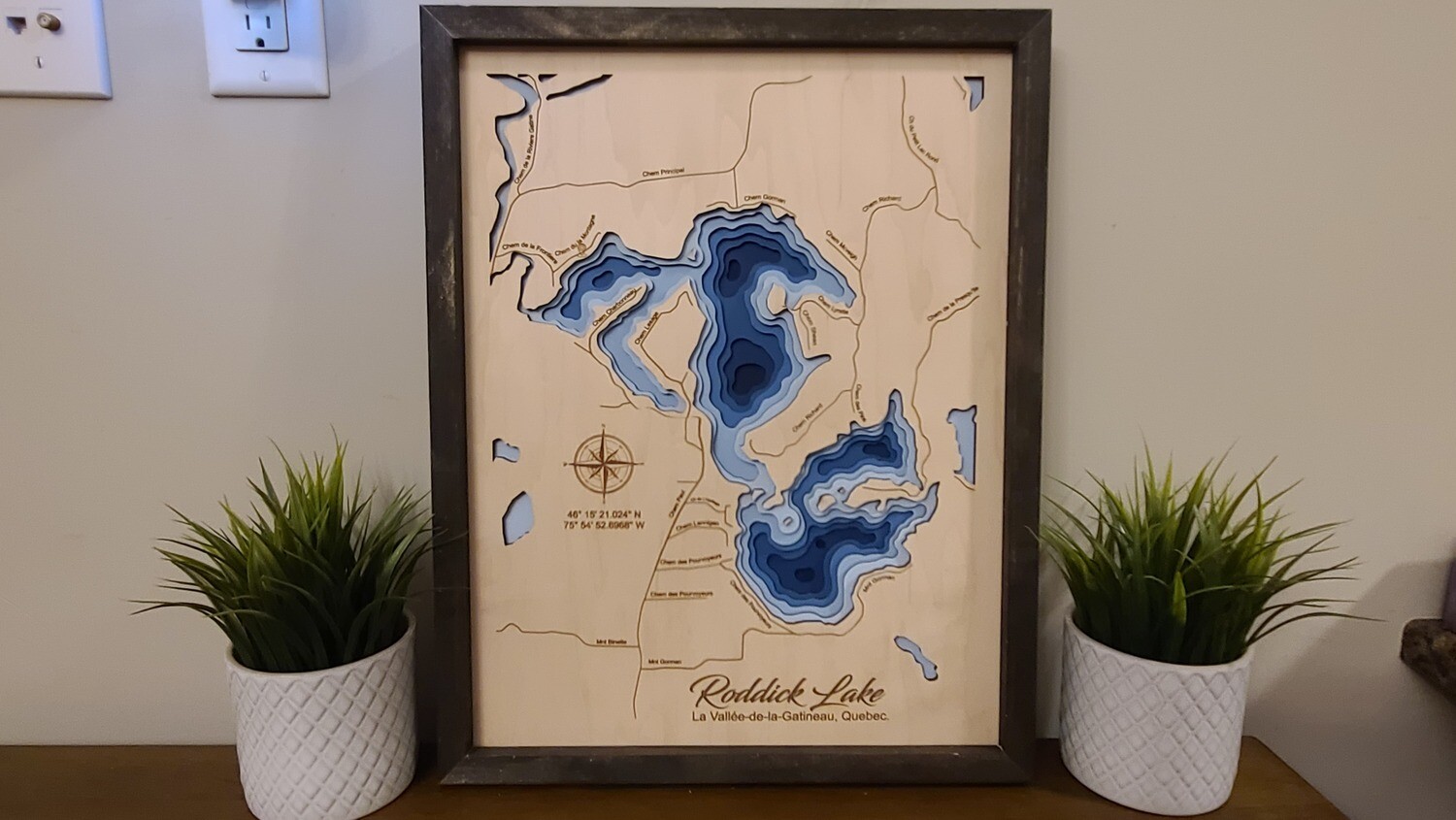 Roddick Lake 3D-Lake Maps