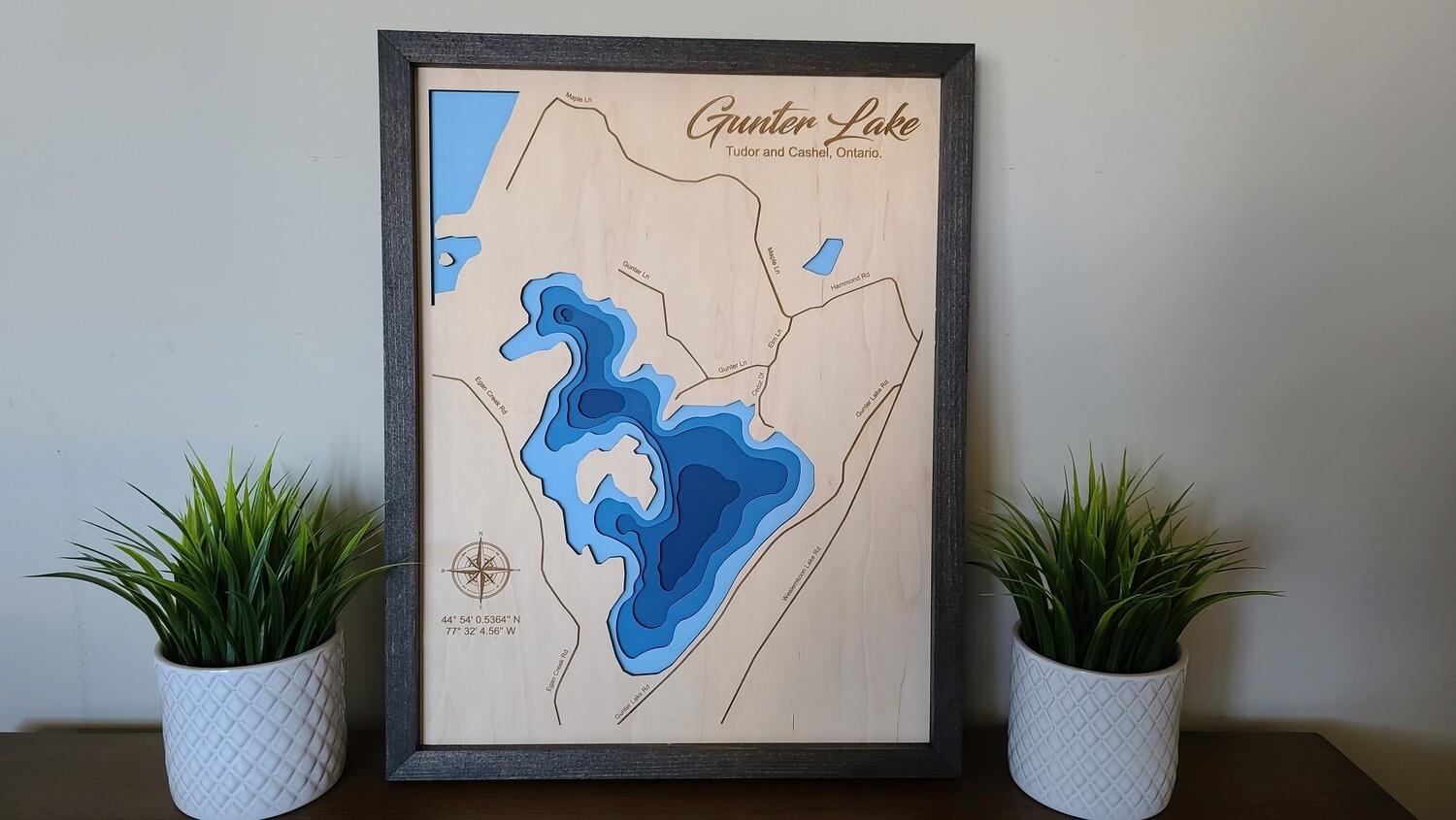Gunter Lake 3D-Lake Maps