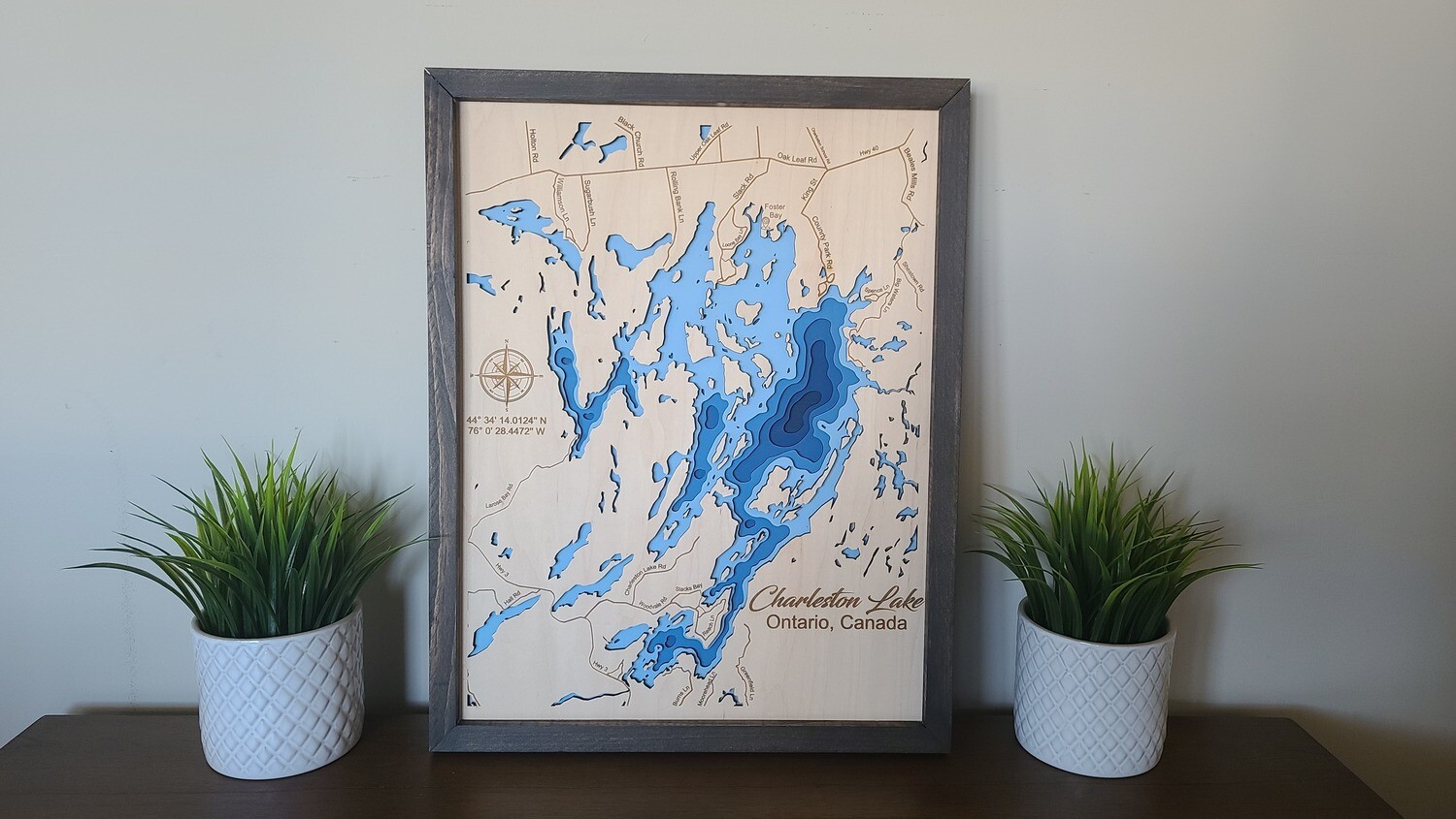 Charleston Lake 3D-Lake Maps