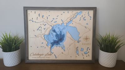 Calabogie Lake 3D-Lake Maps