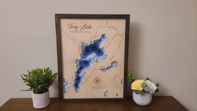 Troy Lake 3D-Lake Maps