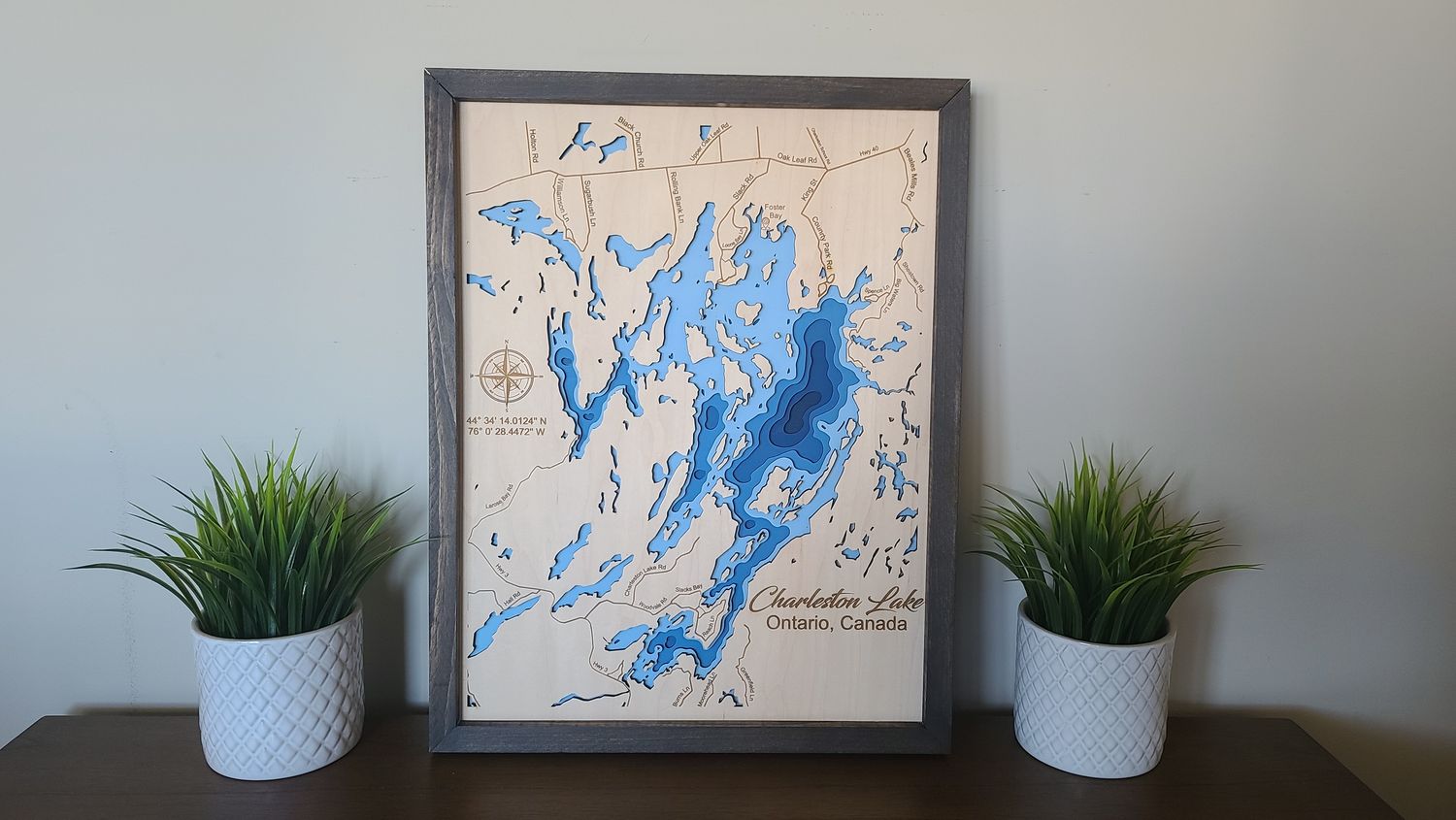 Charleston Lake 3D-Lake Maps