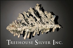Treehouse Silver Inc.