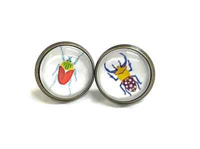 Insects