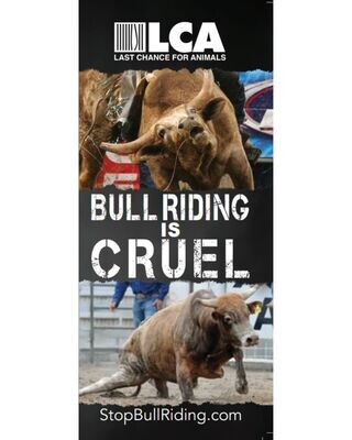 "Bull Riding is Cruel" Brochures (25 pack)