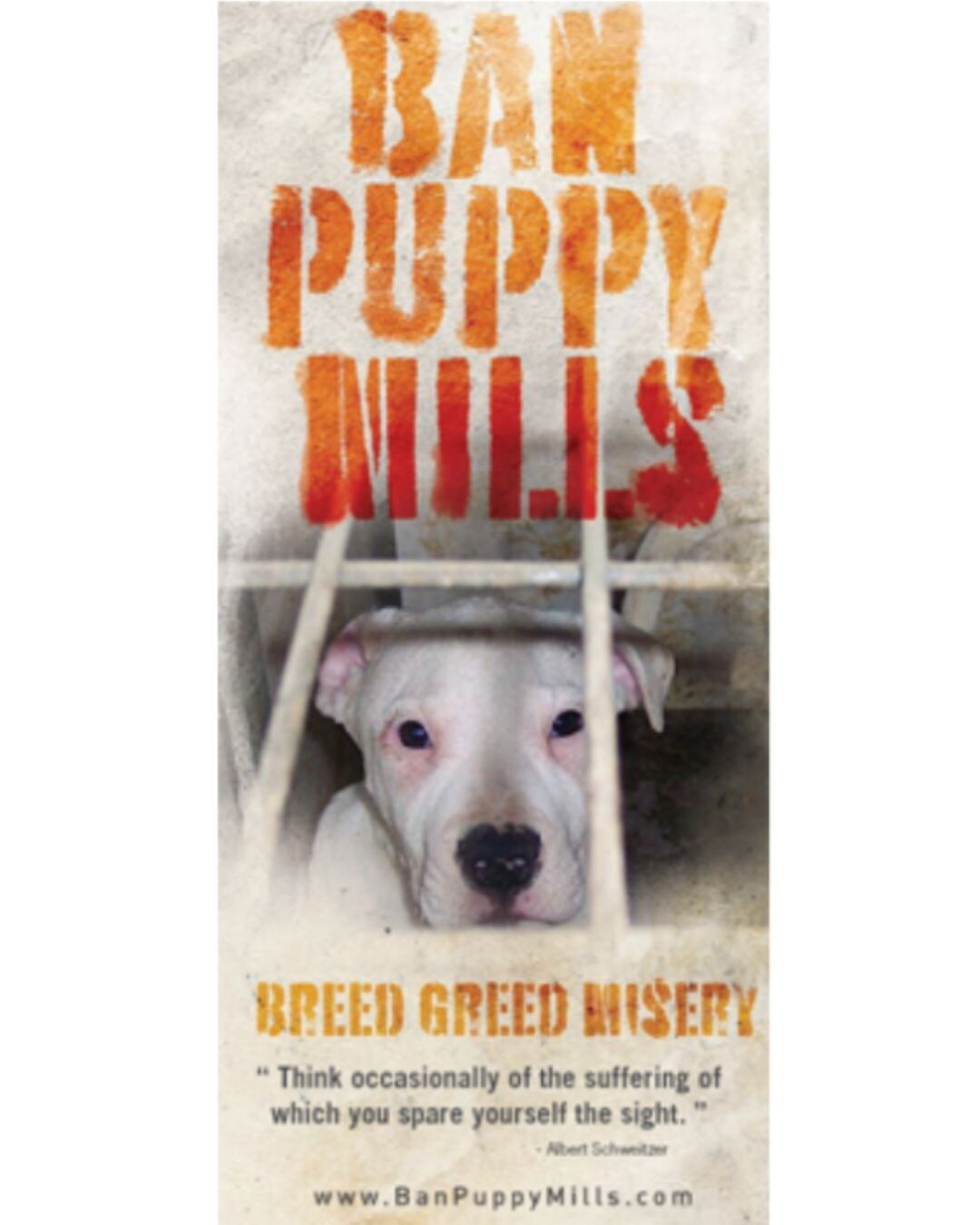 "Ban Puppy Mills" Brochures (25 pack)