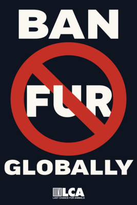 "Ban Fur Globally" Poster (Mounted on Foam Poster Board)