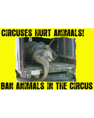 "Circuses Hurt Animals" Brochures (25 pack)