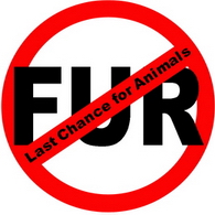 Stop Fur Sticker (10 pack)