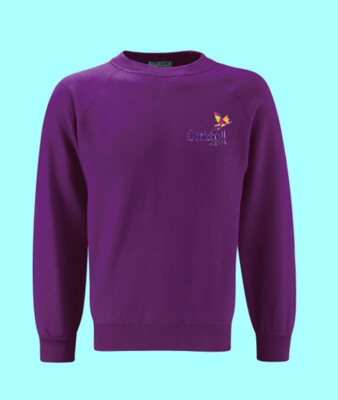 CHILD'S ROUND NECK SWEATSHIRT WITH CRITCHILL LOGO