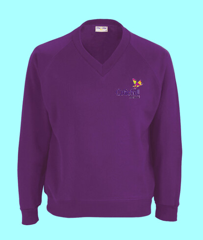 CHILD'S V NECK SWEATSHIRT WITH CRITCHILL LOGO