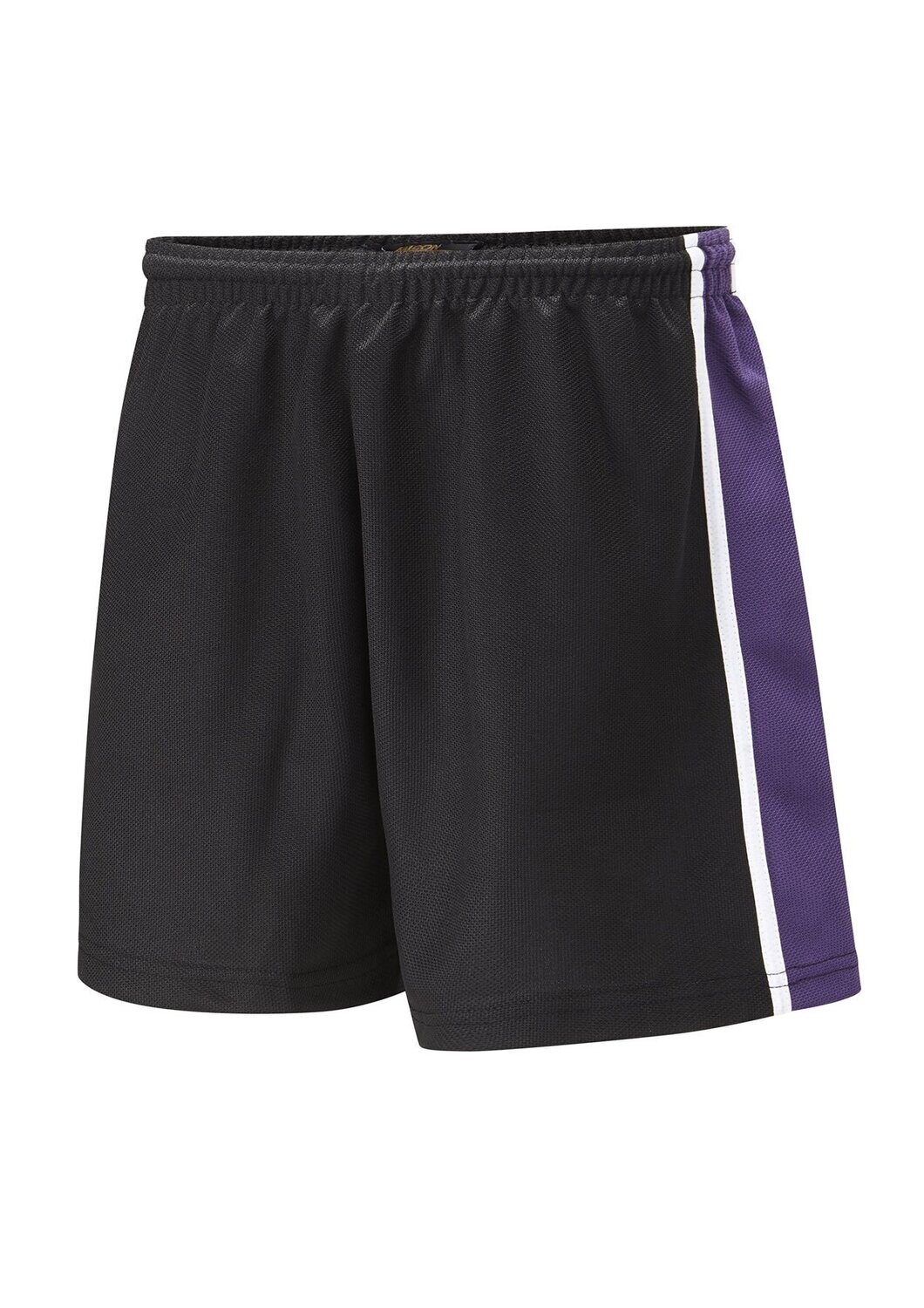 Frome College PE Shorts