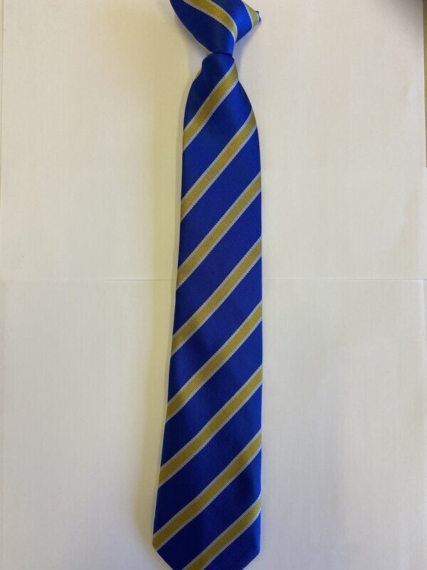 SELWOOD ACADEMY  TIE CORE UNIFORM