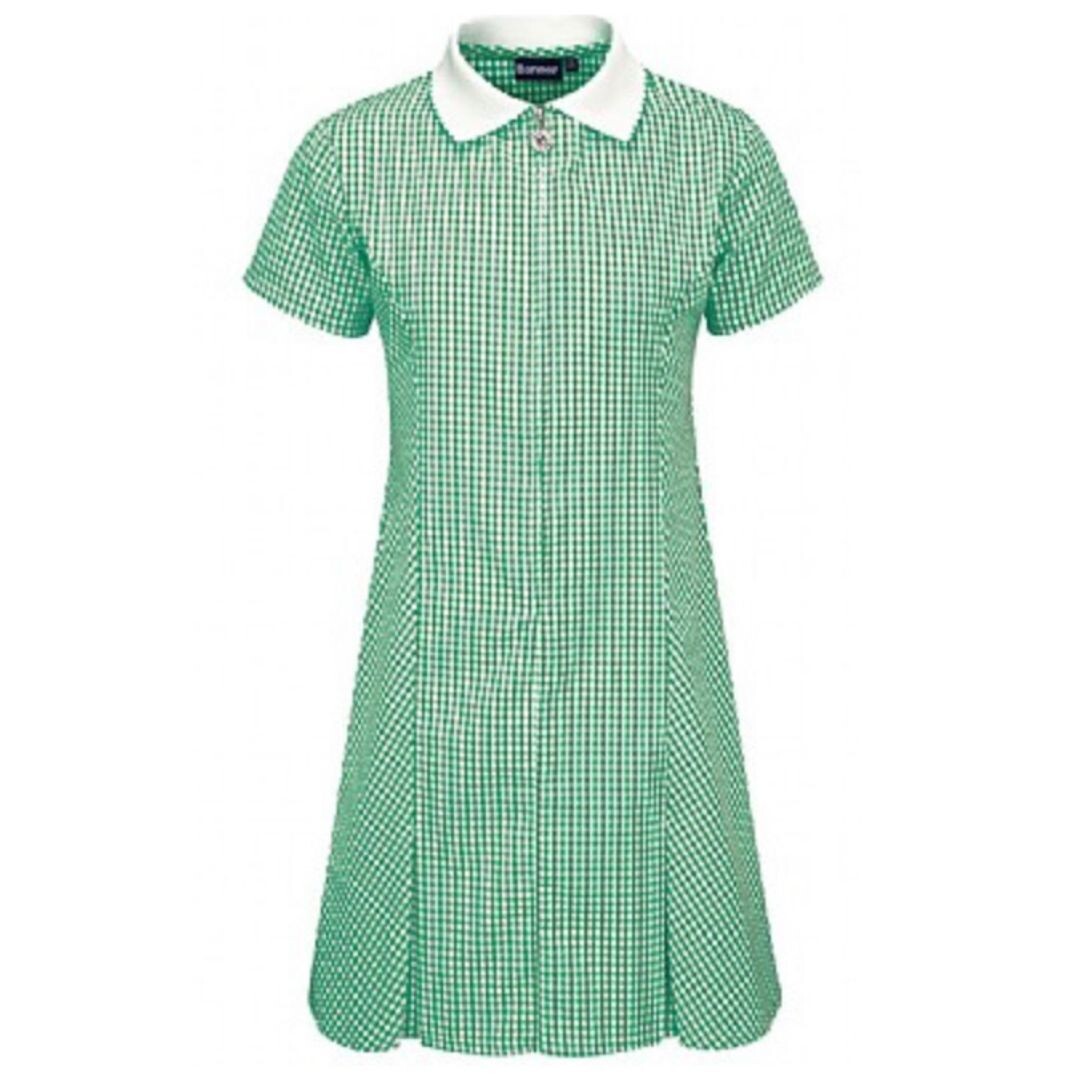 Vallis Gingham Dress