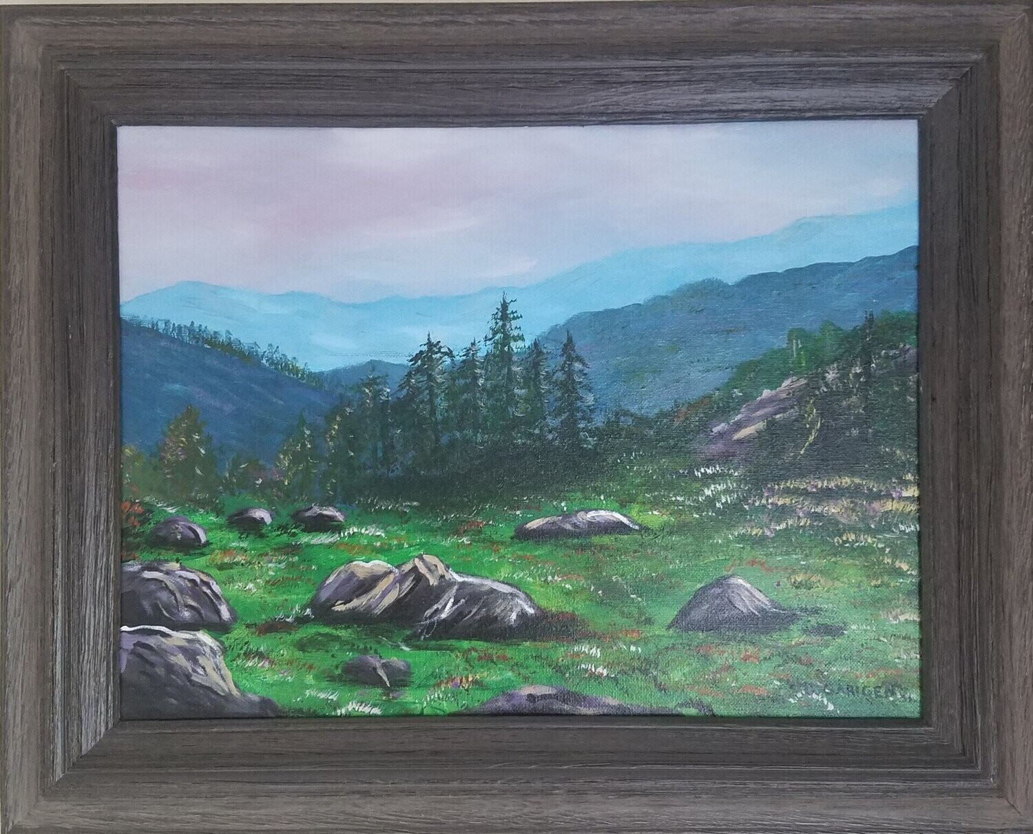 Mountain Meadow