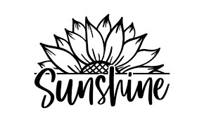 half sunflower-sunshine