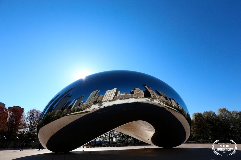 THE CHICAGO BEAN