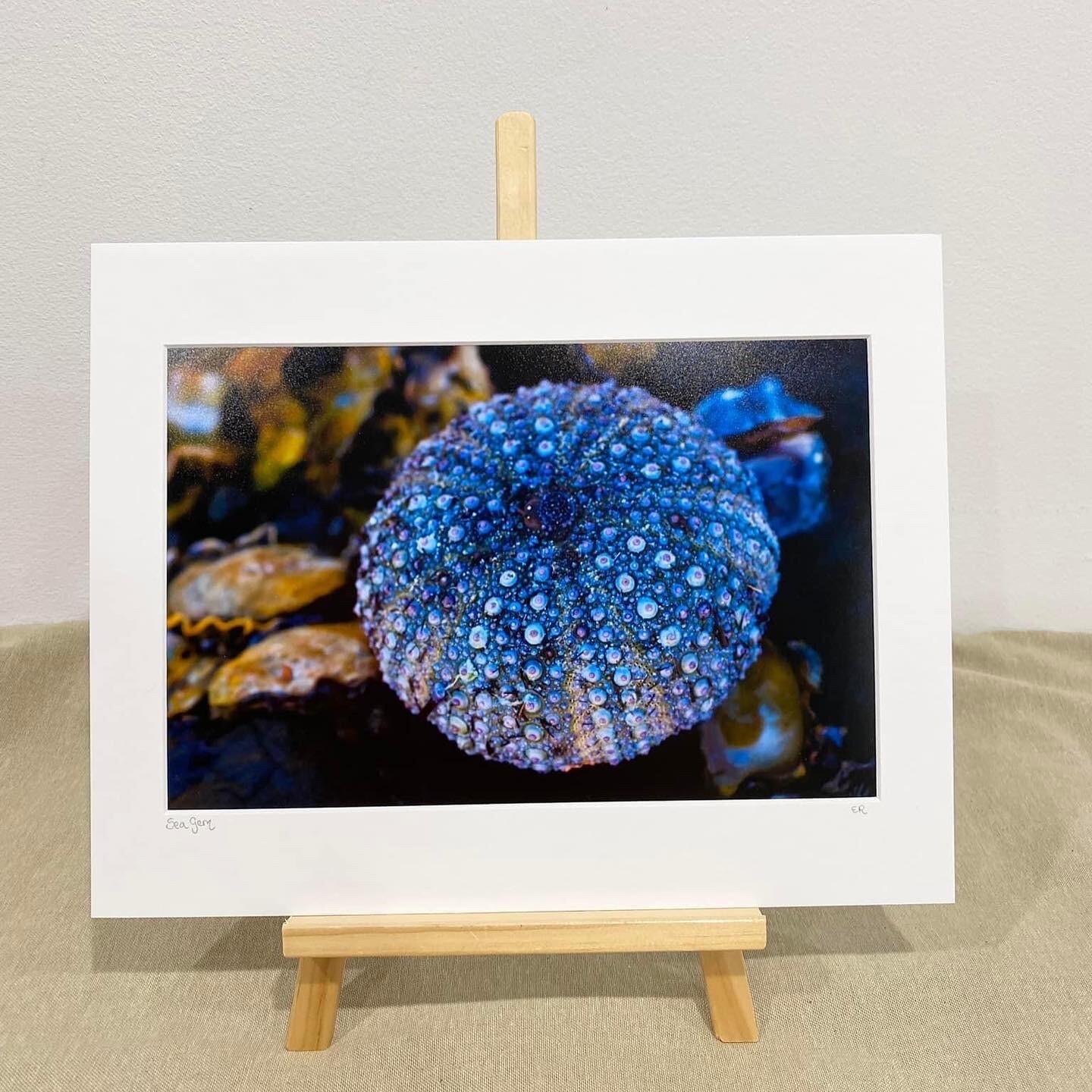 Sea Gem