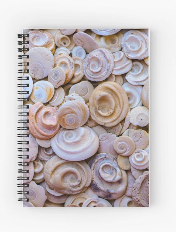 Shell Notebook