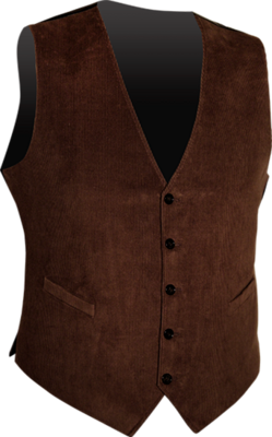 Chenaski waistcoat in bruin