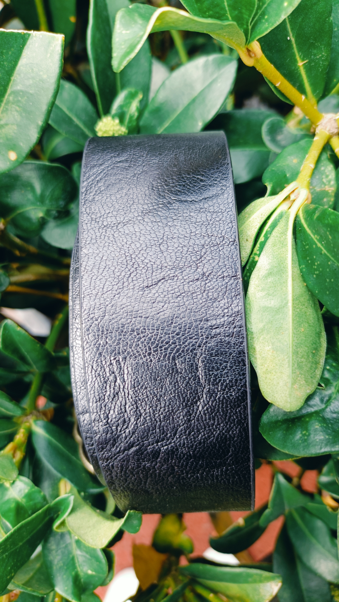 Wendy's Western Riem Brons